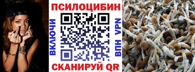 где найти наркотики  Воркута  Псилоцибиновые грибы GOLDEN TEACHER 